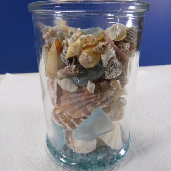 REAL sea shells in a New Glass Jar w seal & lid 5.75" tall (1+ pounds) - Picture 6 of 12